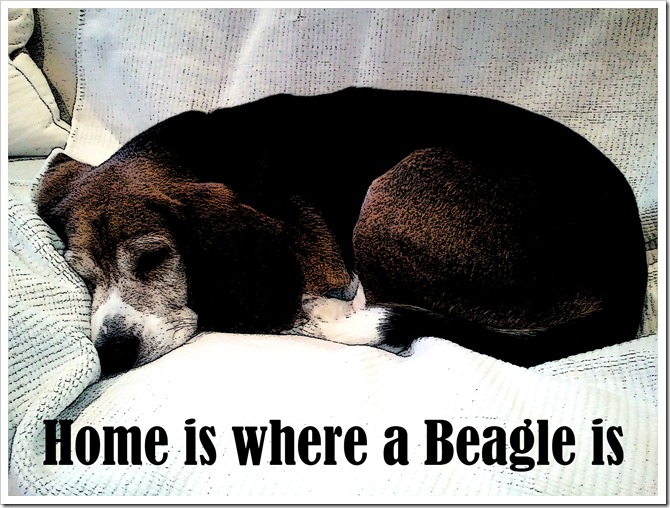 Home is Where a Beagle Is inked
