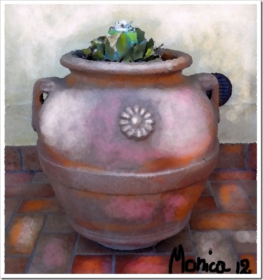 The Long Gone Aloe oil