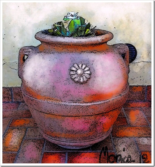 The Long Gone Aloe sketched