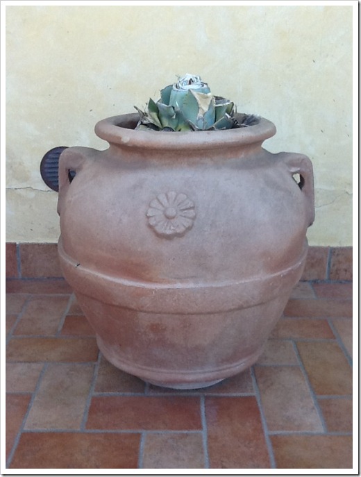 Vaso immagine originale rigirata