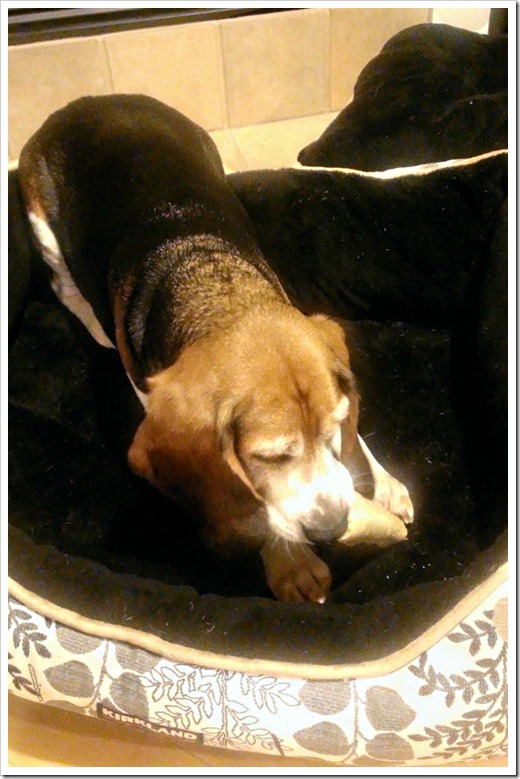 Nursing the Baguette