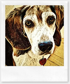 IMG_20170115_115845_382